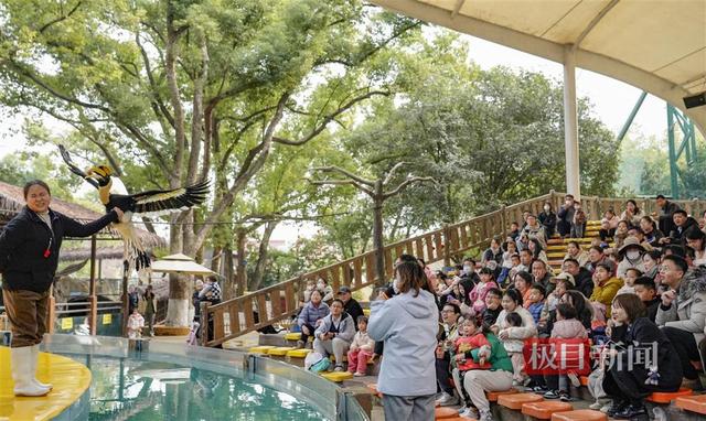 水中“福禄寿三星”报喜贺新春