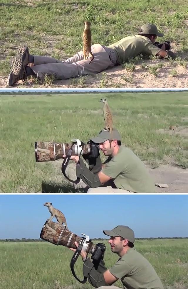 外国网友分享大自然令人震撼的瞬间，这世界真的太美好了