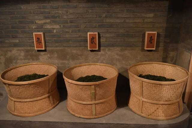 武夷菜茶之我说