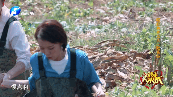 “豆腐西施杨七巧”穿皮裤捉虾，大石坡村上演虾王争霸