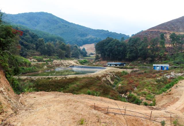 鱼塘不是想挖就能挖,这位“塘主”获刑!