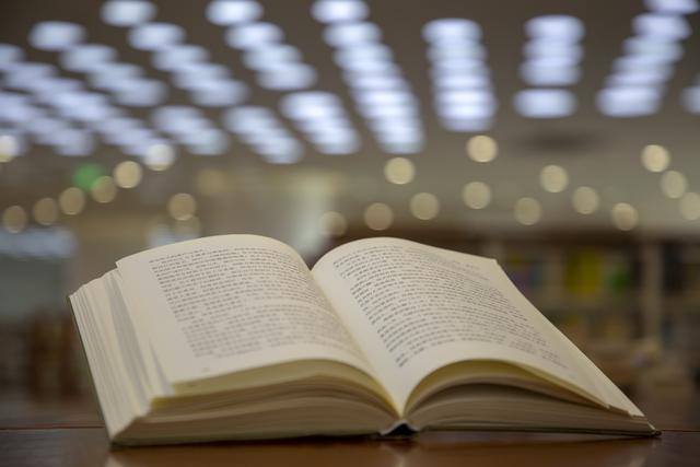 小说：我是出马仙，我请来一条龙，却有人说我输了