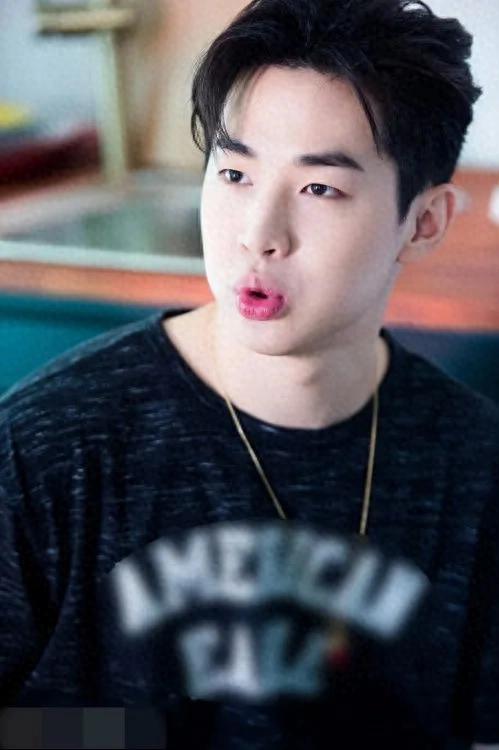 刘宪华：才华横溢的音乐才子与全能艺人