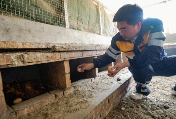 他们在沙漠里实现了“果蔬自由”