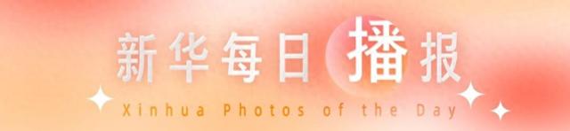 新华每日播报｜8月26日