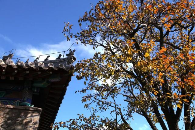 听着周杰伦的《屋顶》，唠唠“龙”家三太子嘲风