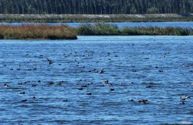 这些昌平人都不一定念对的地名，看看你认识几个？