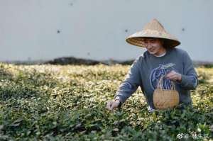 永安山(林生斌的井成网红朝圣地，村民自发驻守山路：别再让风言风语破坏永安山名声)