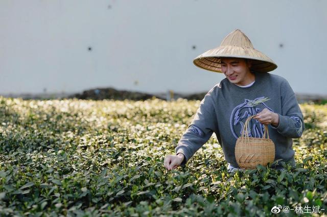 林生斌的井成网红朝圣地，村民自发驻守山路：别再让风言风语破坏永安山名声