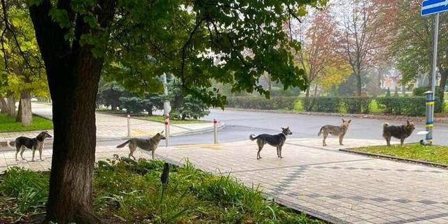 20张精彩照片：丹麦漂亮的超胖女模特，可泡澡的五星级球场观众席