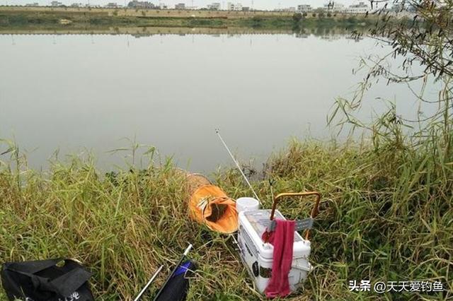 野钓必杀技：选择不同的“方位”，影响了鱼获多少