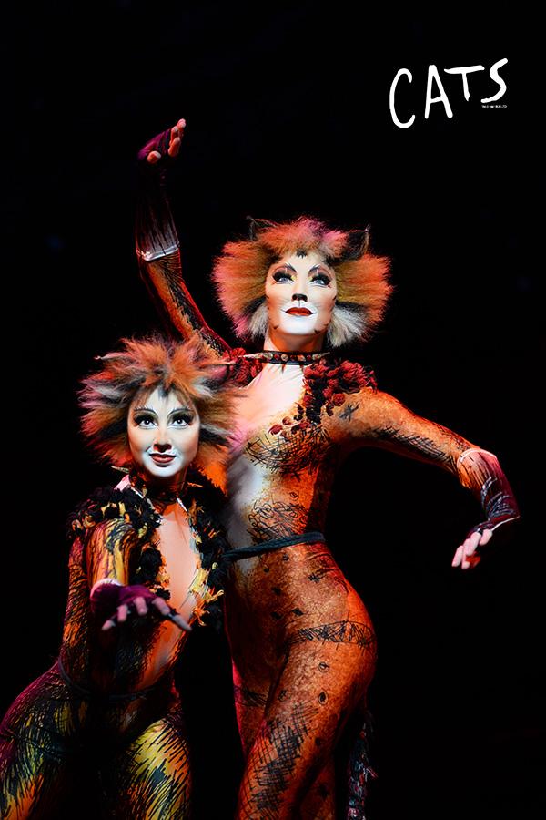 复刻伦敦西区,音乐剧《猫》来上海连演43场