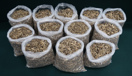 香港海关侦破受管制干海马案件 涉案金额百万港元