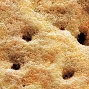 “坏蛋”是怎么炼成的？