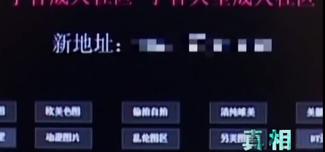 2009年,7.3亿访问量的色情网站“丁香”覆灭,背后是谁在操控?