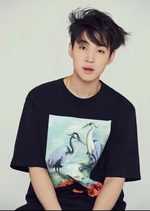 刘宪华：才华横溢的音乐才子与全能艺人