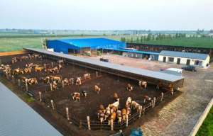 苏莫(翁牛特旗新苏莫苏木农牧产业开新篇  户企联动共繁荣)