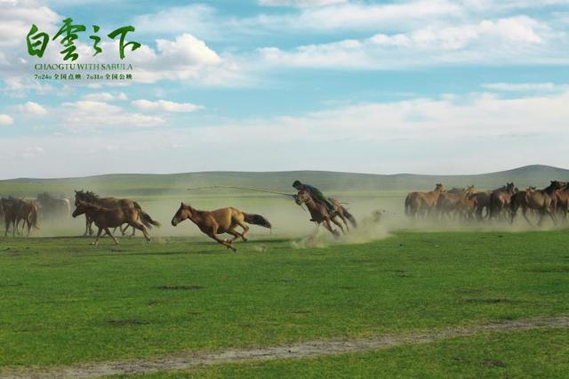 《白云之下》7·31上映，没去过草原的小伙伴们有福了