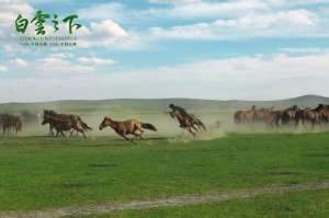 大荒电影(《白云之下》7·31上映，没去过草原的小伙伴们有福了)