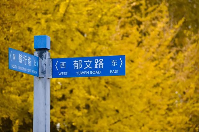 大工人拜年必备语录.zip