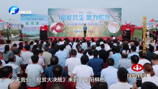 “豆腐西施杨七巧”穿皮裤捉虾，大石坡村上演虾王争霸