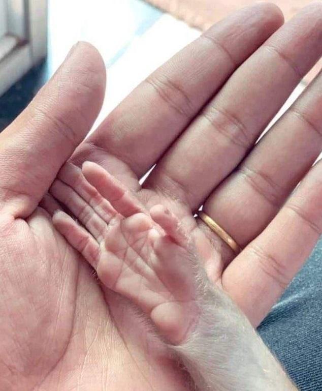 20张精彩照片：丹麦漂亮的超胖女模特，可泡澡的五星级球场观众席