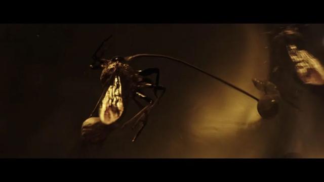 深度解析异形家族的关系：黑水是一切的根源，人类不过是宿主！