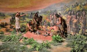 阴毛图(人类全身褪去毛发后，为何只剩阴毛、腋毛和头发？)