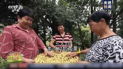 我问你这瓜保熟吗？保熟！我这大数据挑瓜，红外测糖，震动测脆度……