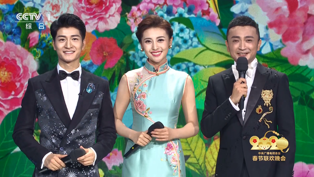 5年过去了,2019年央视主持人大赛的12位选手,差距已经拉开了