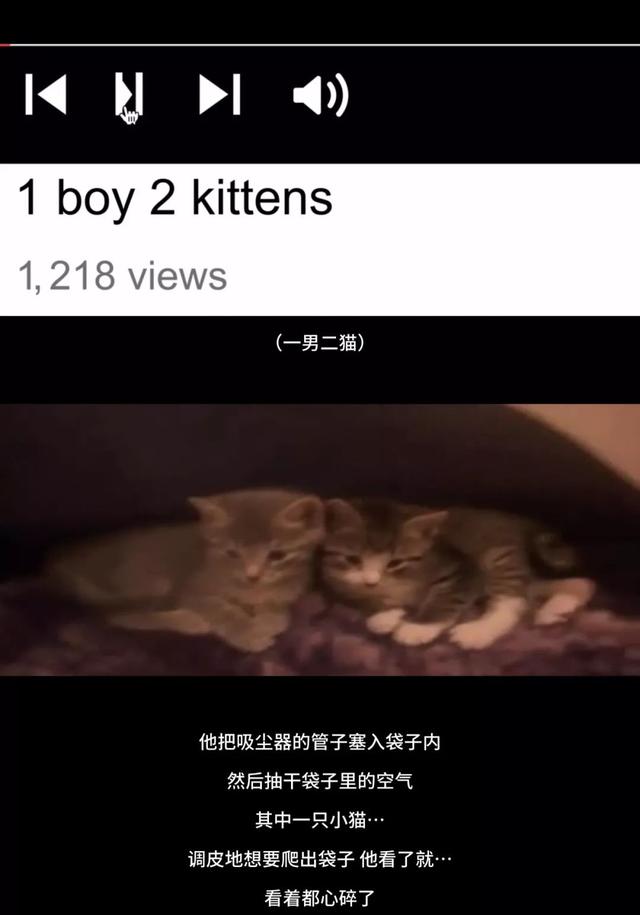 杀人肢解发布全网，《别惹猫咪：追捕虐杀者》扒光留学生遇害真相