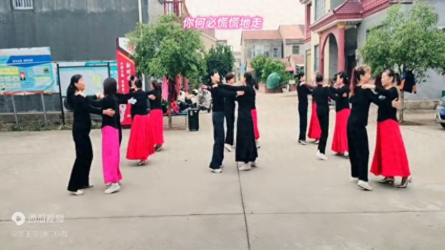 经典情歌交谊舞中四《花楼恋歌》歌曲好听，舞步轻盈团队完整版