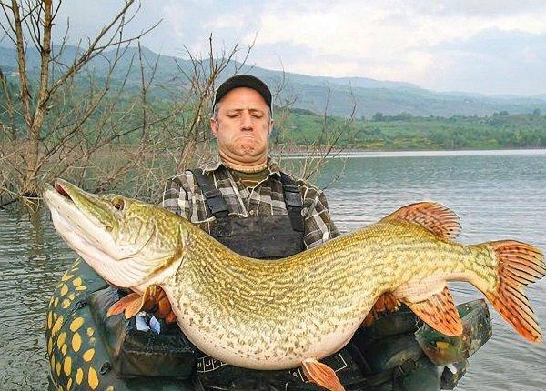 男子钓鱼时捕获恐怖物种，结果却被其诡异的阴笑眼神吓得不轻