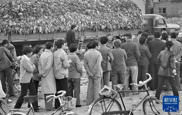 “国社之镜·世纪光影”新华社新闻摄影展丨丰衣足食(下篇)