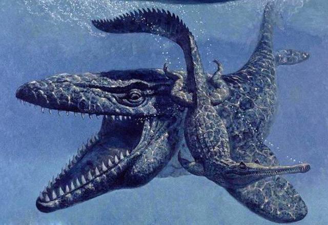 多角度分析,沧龙和巨齿鲨谁才是史前第一霸主?