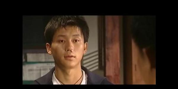 李幼斌和王志文主演的刑警本色，还有李晨段奕宏