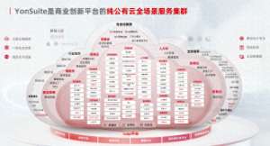 yon(全面降本增效的2024：用友YonSuite重新定义SaaS产业)