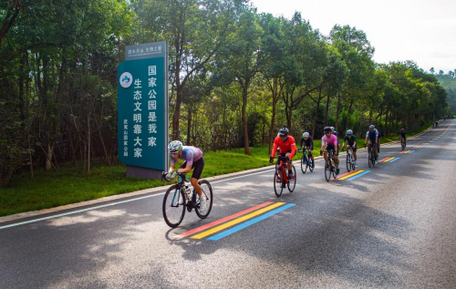 第14届迷笛奖颁奖礼特别呈现,2024大武夷迷笛全阵容公布