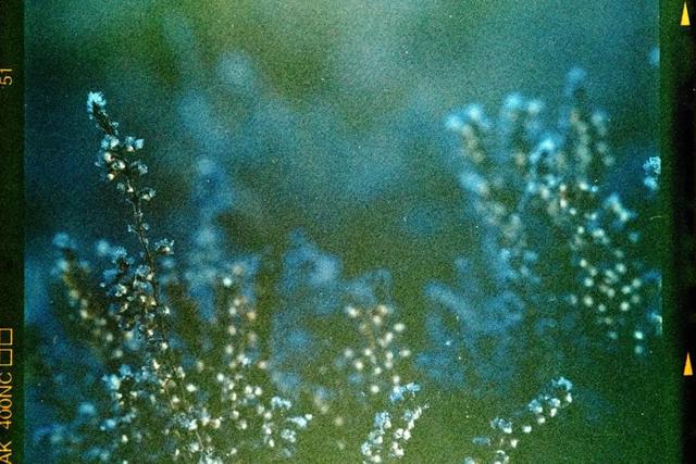 高考后离婚的父母究竟是自私还是无私？