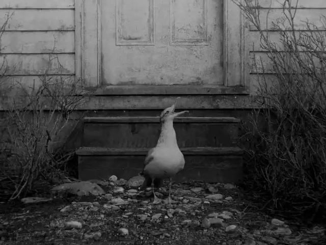 真实事件改编，今年最邪的恐怖片