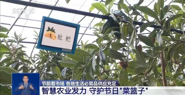 市场迎来消费高峰 “米袋子”“菜篮子”满满当当
