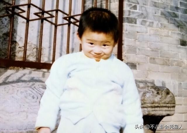 ​从家世实力到婚礼，赌王的明星女婿窦骁，都输给了四房的平民女婿