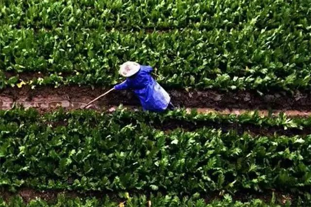 农业气象:南方降雨无止无休,到底要下到何时?气象专家给了答案