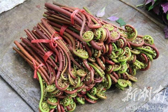 雪峰山脉，春意盎然，好看好吃更好玩！