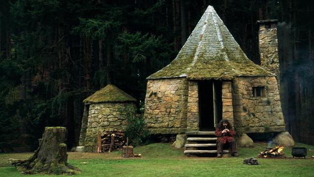 《哈利波特与凤凰社》重映，乌姆里奇是如何一步步控制霍格沃兹的