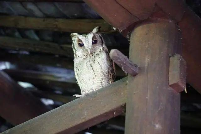 邻居全搬走了,浙江一家人30年来却守着一栋黄泥房,有什么秘密?