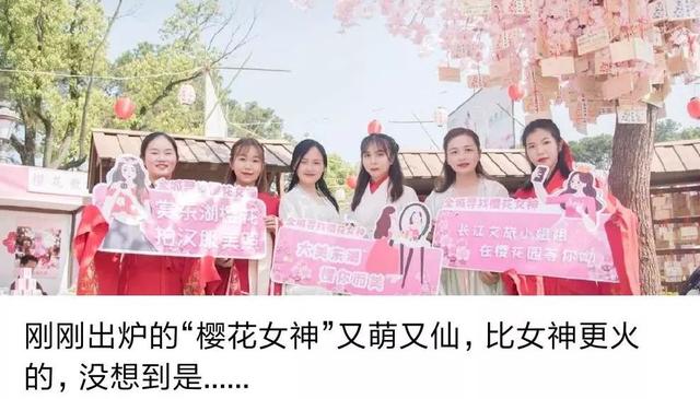 暑期“萤之光”科考营,大学教授带你赏漫天萤火,观浩瀚星空