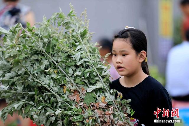 摔跤 跳板 荡秋千:延吉朝鲜族花样民俗庆端午