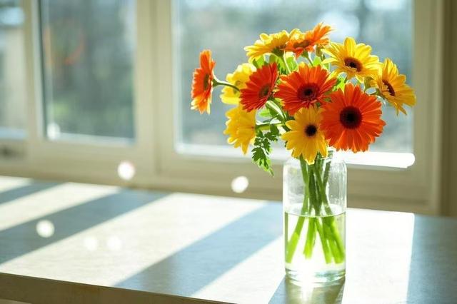 沉默的代价：那些被咽回去的话如何杀死你的人生可能性