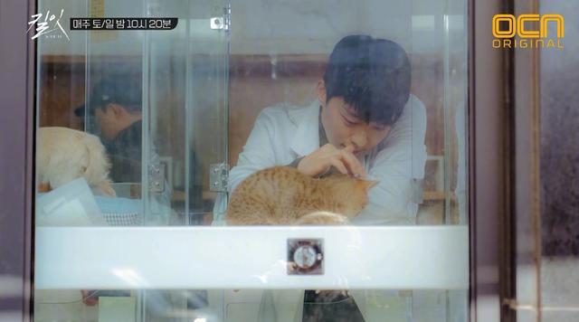 《城市猎人》8年后，终于又看到一部男女主双A且颜值爆表的韩剧！